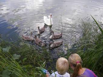 Hostal Willipu Guesthouse