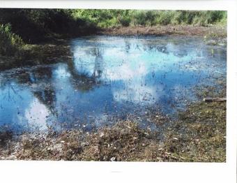 Posada Los Reyecitos