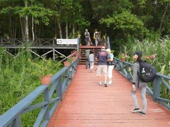 Nature Lodge Kinabatangan