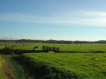 Sunlit Apartment By The Sea In Camperduin