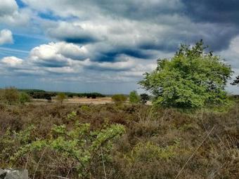 Recreatiecentrum Adelhof 1