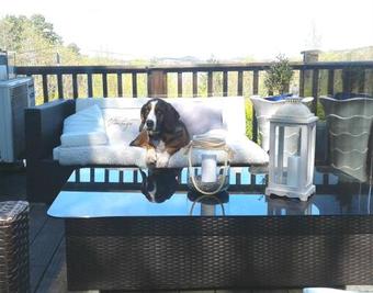 The Island Guest House Tromoy Arendal