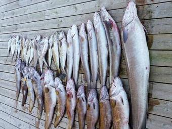 Holiday Home Urangsv�g II