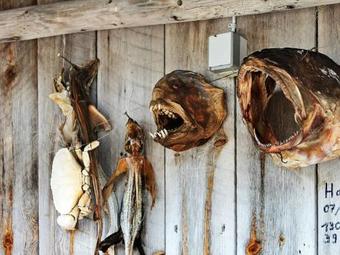 Holiday Home V�gland