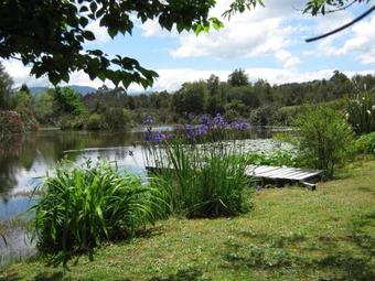 Bed & Breakfast Kiwi Wild Lodge
