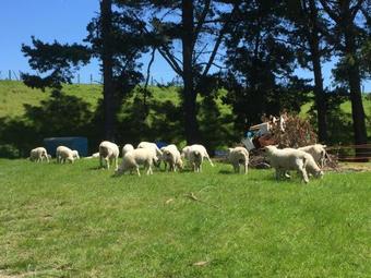 Bed & Breakfast Leedale