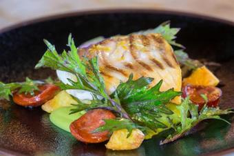 Hapuku Lodge & Tree Houses