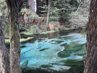Rotoiti Lake Retreat