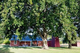 Villa Coldstream Estate - The Whare