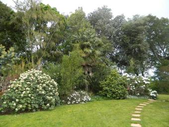 Apartamento Antares Homestay