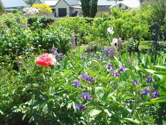 Olde Mill House B&B & Bike2wine Cycle Hire