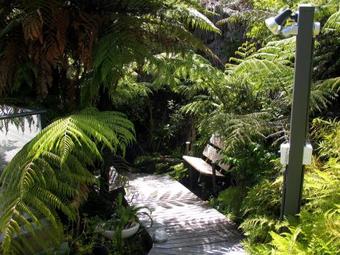 Bed & Breakfast The Riverbank Homestay