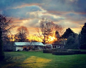 The Waterlily Gardens