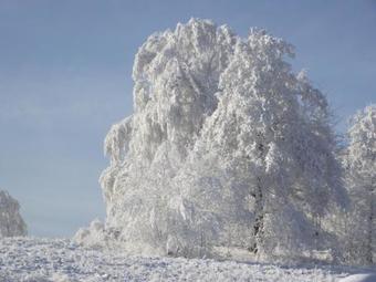 Agroturystyka ?abi Do?ek