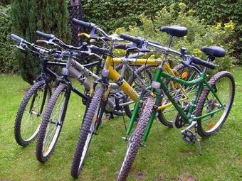 Dom W Borach Tucholskich