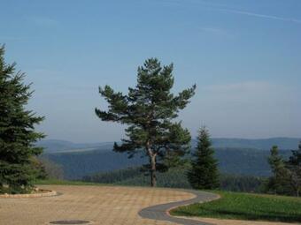 Hostal Pensjonat Orle