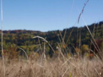 Hotel ?ywiecki Medical Spa & Sport I Hotel ?ywiecki Business Class