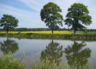 Bed & Breakfast Pensionat Pr�stg�rden