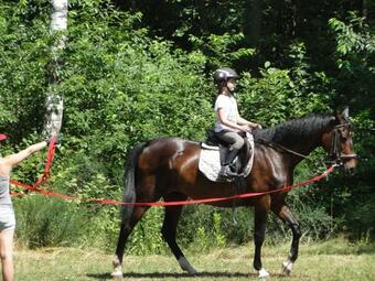 Agroturismo Wioska Pod Kogutem