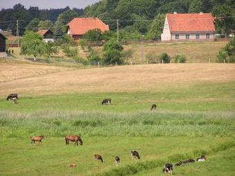Agroturismo Nad Dolin? Krutyni