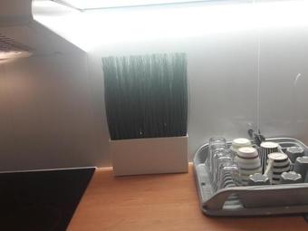 Dobranocka - Pokoje I Ca?oroczne Domki Blisko Energylandii