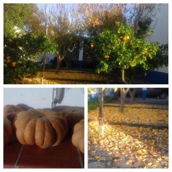 Agroturismo Casa Monte Dos Amigos