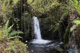 Hotel Residencial Martinho