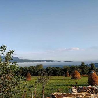 Hostal Sub Creasta Cocosului