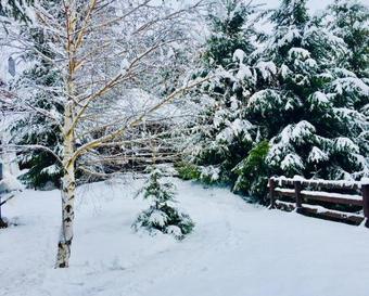 Lodge Casa Dintre Brazi