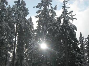 Hostal S�g� Madarasi Hargita