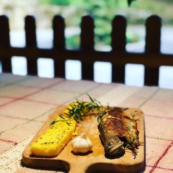 Hostal Pensiunea Valea Gepisului