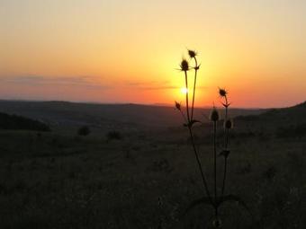 Hostal Boutique Hotel Le Baron