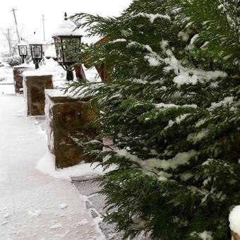 Hostal Pensiunea Rodica