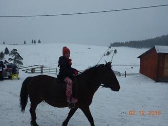 Hostal Casa Plai Din Bucovina