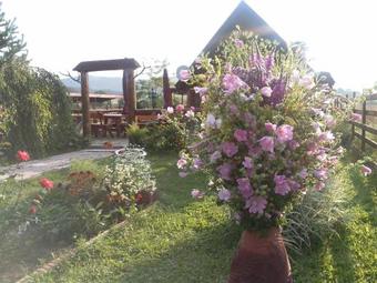 Hostal Pensiunea Perla Neamtului