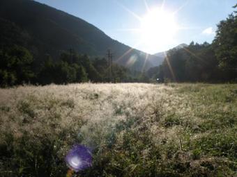 Hostal Pensiunea Dumbr?vi?a