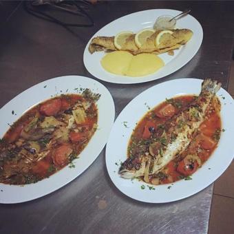 Hostal Pensiunea Ioana