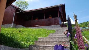 Hostal Pensiunea Apuseni