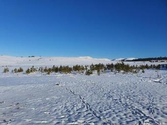 Vnb Apartman Tornik-zlatibor