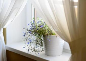 Hotel Imeniye Altun Lake House