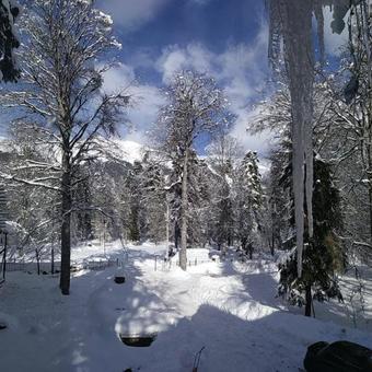 Hotel Green Park & Spa