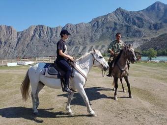 Agro Turkomplex Inegen