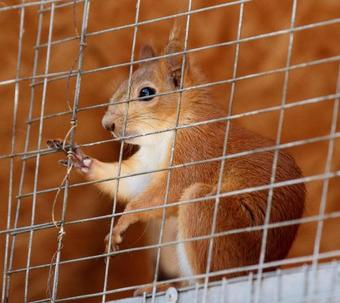 Hotel ????? ????????