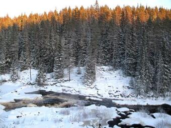 Hotel Baza Otdykha Khieksielia
