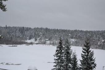 Holiday Home Kareliya