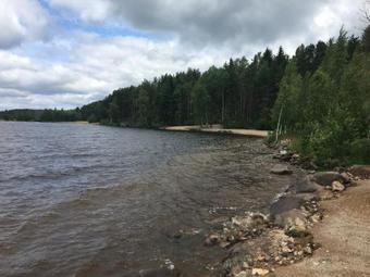 ???? ?? ??????? ?????