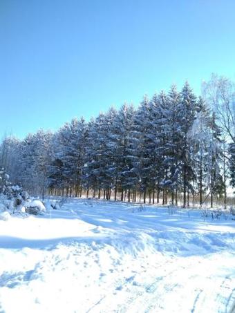 Agroturismo Country House Nadevitsy