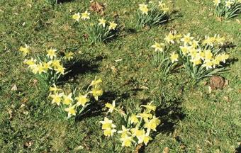 Holiday Home Pjukabo Kalv