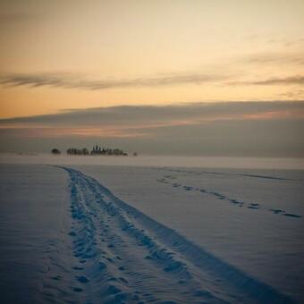 Hostal Shumihina Gora