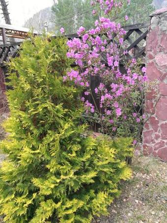 Hostal Guest House Kedrovoe Podvorie